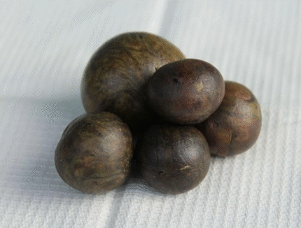 Raw Propolis 0,11 lbs (50 grams). Organic. Fresh Stock 2025 Summer. Excellent Quality. Origin From Altai Region of Siberia