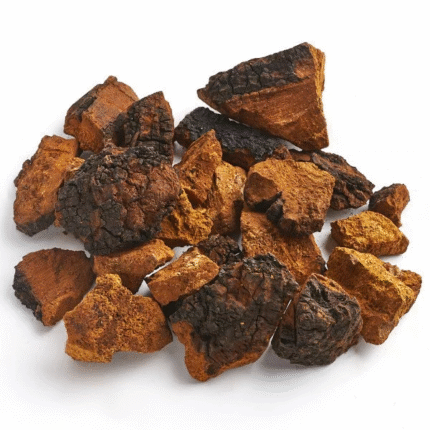 WILD Siberian Chaga Mushroom 0,11 lbs (50 grams). 2025 Harvest